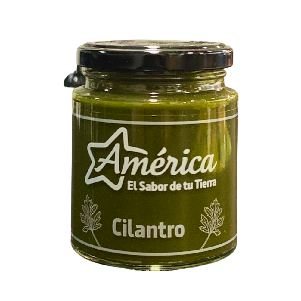 PASTA DE CILANTRO AMÉRICA 212g - Sabores de America Latina